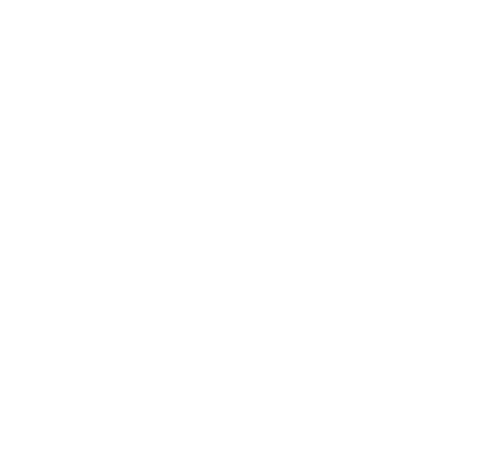 MARIO GUERRUCCI S.r.l.